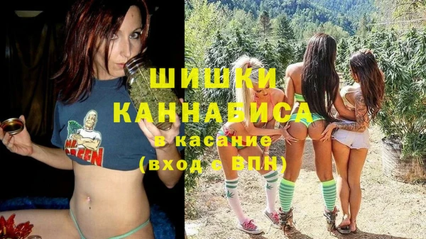 СК Михайлов