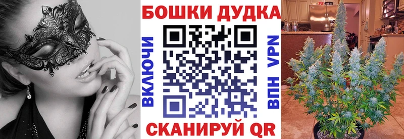 Шишки марихуана сатива  ссылка на мегу tor  Шлиссельбург 